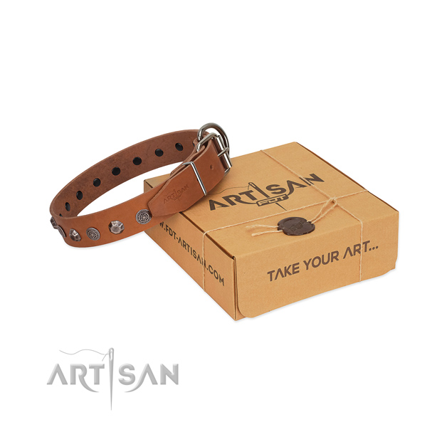 FDT Artisan leather dog collar for walks