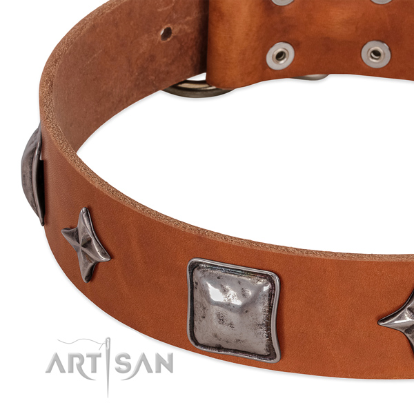 Tan leather dog collar with vintage decorations