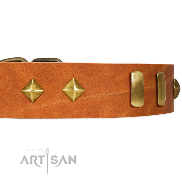 Old Bronze-like Plated Engraved Adornments on Tan Leather Dog Collar