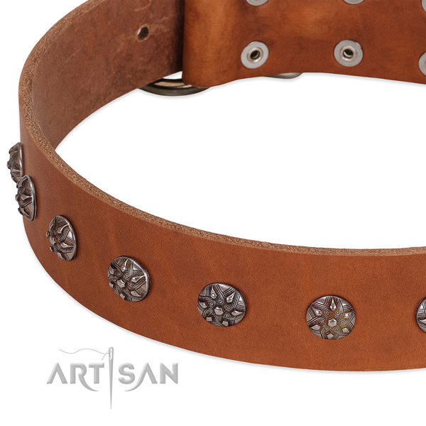 Tan leather dog collar with vintage decorations