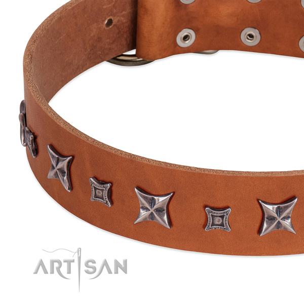 Tan leather dog collar with vintage decorations