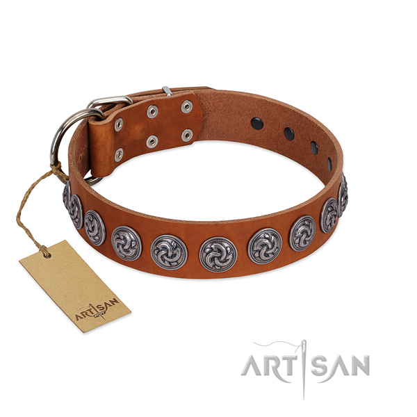 Premium Quality Tan Leather Collar with Unique Decorations