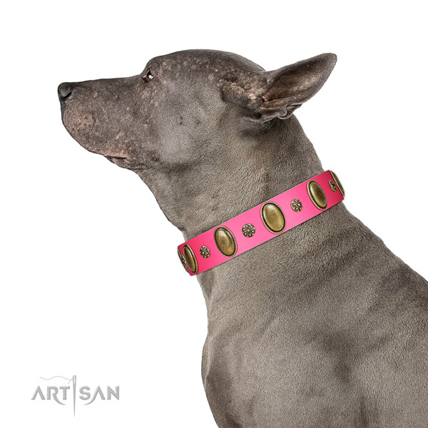 Super comfortable Thai Ridgeback Artisan leather collar of optimal width