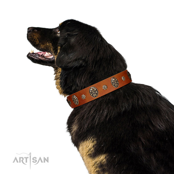 Non-toxic Tibetian Mastiff Artisan leather collar for better control