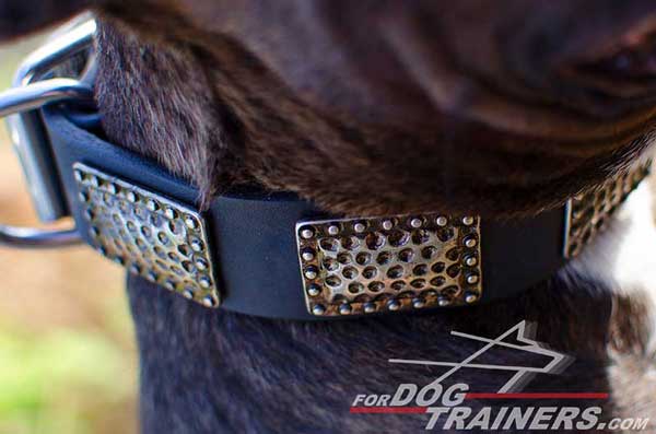 Stylish Decorations on Leather Pitbull Collar 