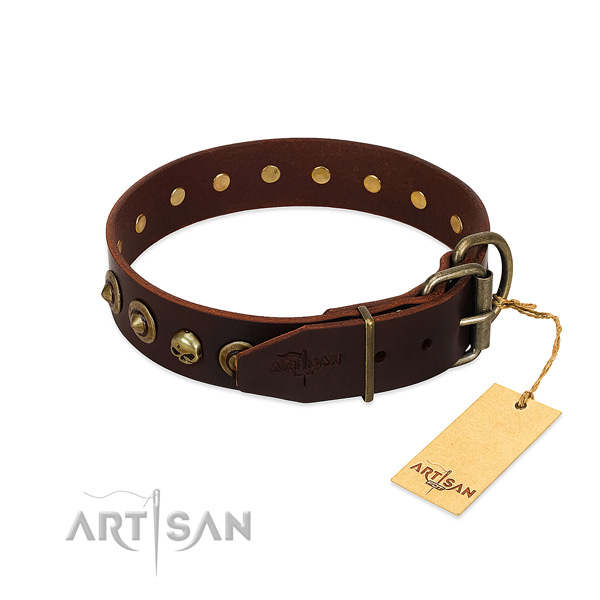 FDT Artisan Walking Dog Collar with Sturdy Hardware