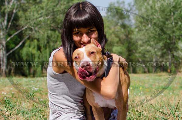 Easy walking with this leather Pitbull collar