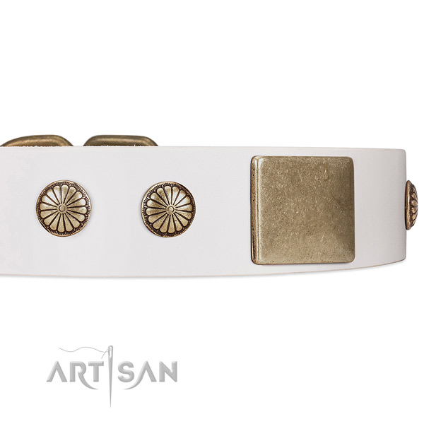 Dog Collar with Old-bronze Plated Plates and Circular Flowers Studs