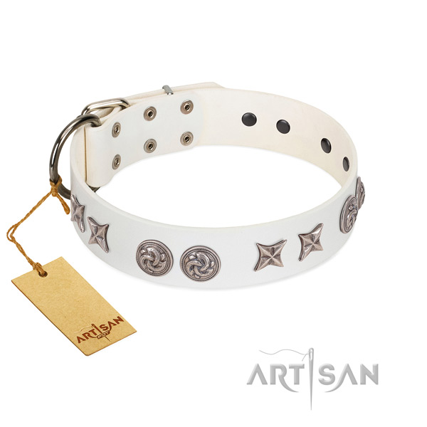 Fabulous FDT Artisan leather dog collar