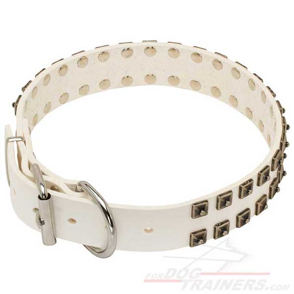 Wide Dog Collar Fully Leather White Colored