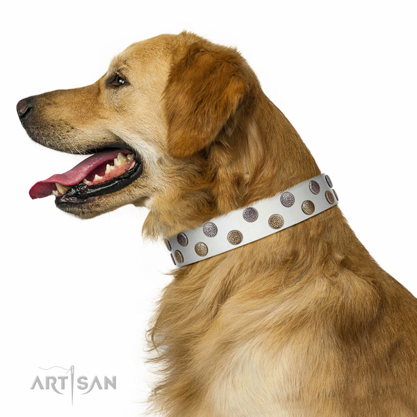 Elegant walking leather Golden Retriever collar