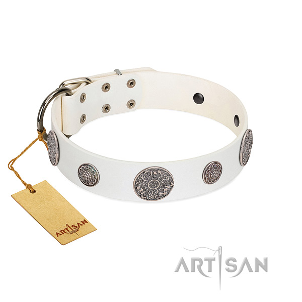 Fabulous FDT Artisan leather dog collar