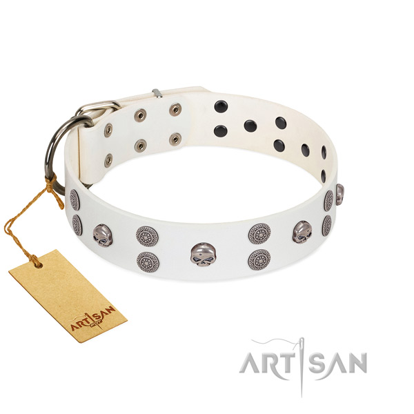 Fabulous FDT Artisan leather dog collar