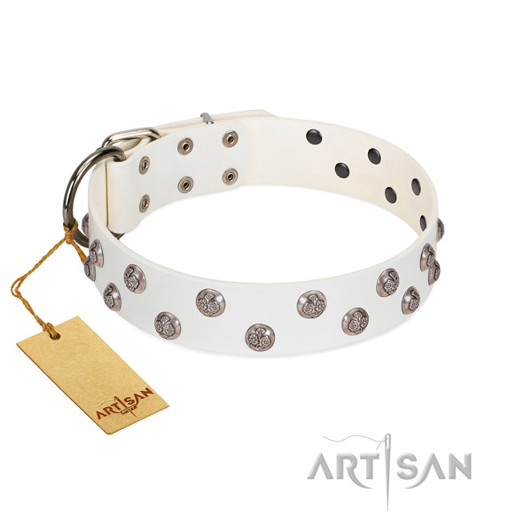 Fabulous FDT Artisan leather dog collar