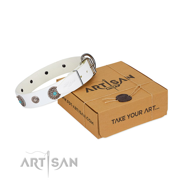 FDT Artisan leather dog collar for stylish walks