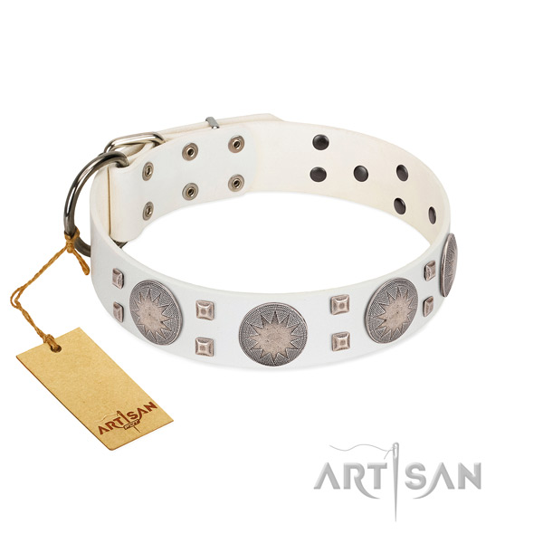 Fabulous FDT Artisan leather dog collar