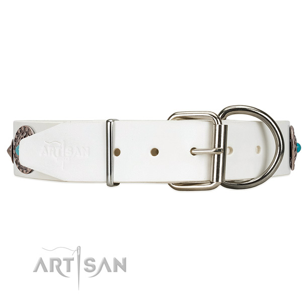 Leather dog collar with silver-like hardware