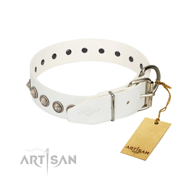 Fabulous FDT Artisan leather dog collar