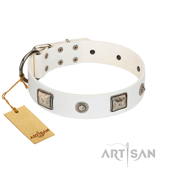 Fabulous FDT Artisan leather dog collar