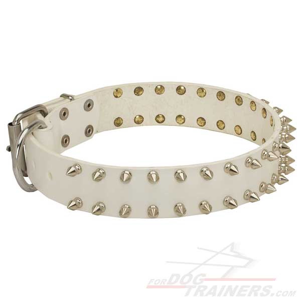 2 Rows Spiked White Leather Collar for Cane Corso Walking