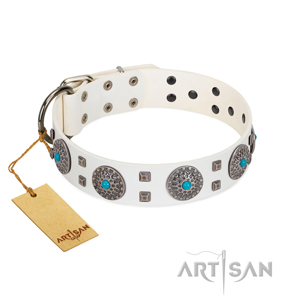 Magnificent FDT Artisan white leather dog collar for daily walks