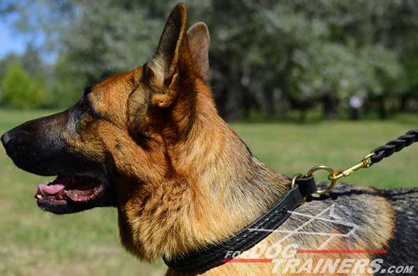 Leather Dog Choker For Making German Shepherd Obedient