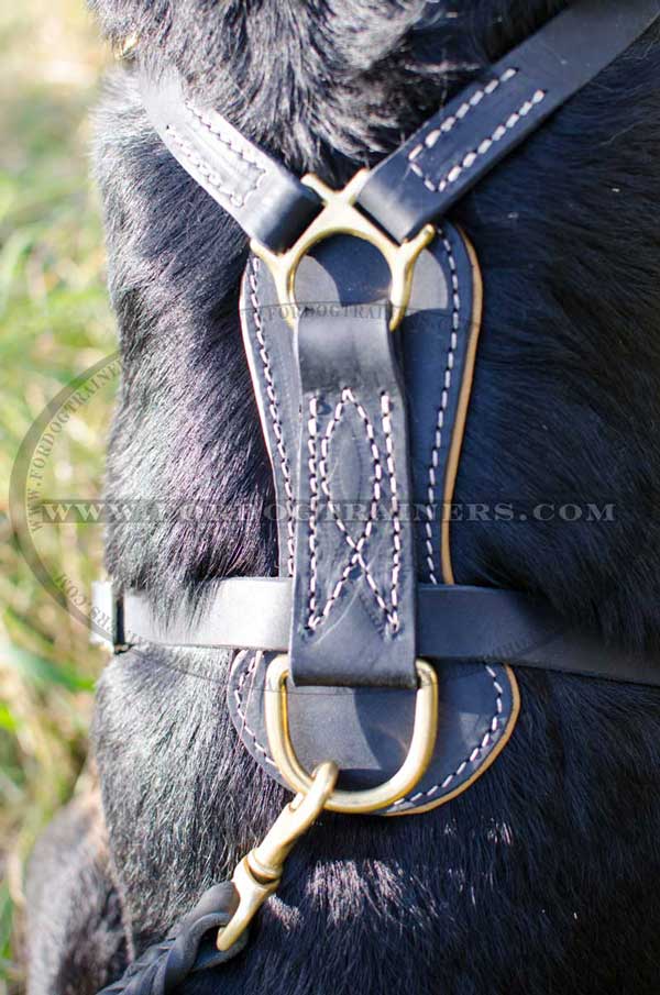 Dog harness with nappa padded back plate