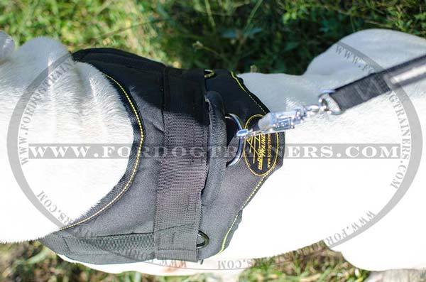 Comfy Back Plate on Nylon Harness