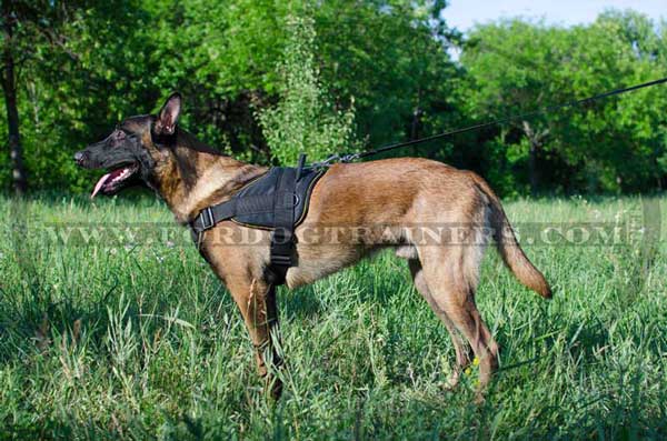 Multipurpose Nylon Belgian Malinois Harness