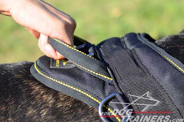 Training Durable Handle on Nylon Bull Terrier Harness