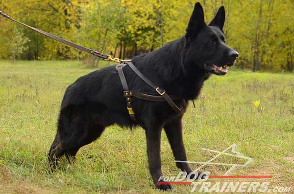 Leather German Shepherd Harness Padded