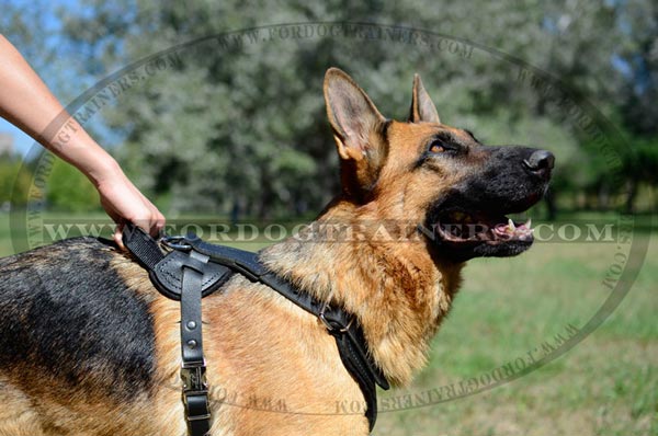 Training Leather German Shepherd Harness Durable