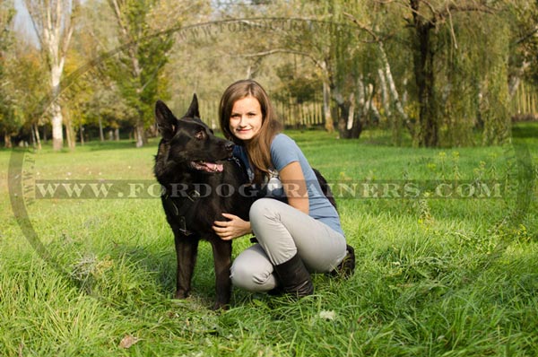 Felt Padded German Shepherd Harness Leather for Training