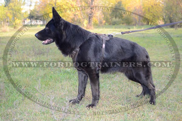 Training German Shepherd Harness Leather with Handle