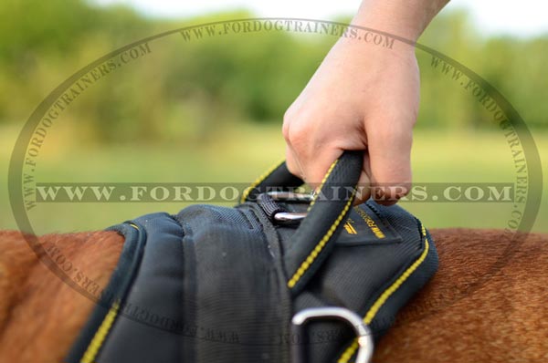 Handle of Nylon English Bulldog Harness