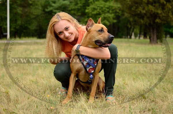 Walking leather Pitbull harness for easy controlling