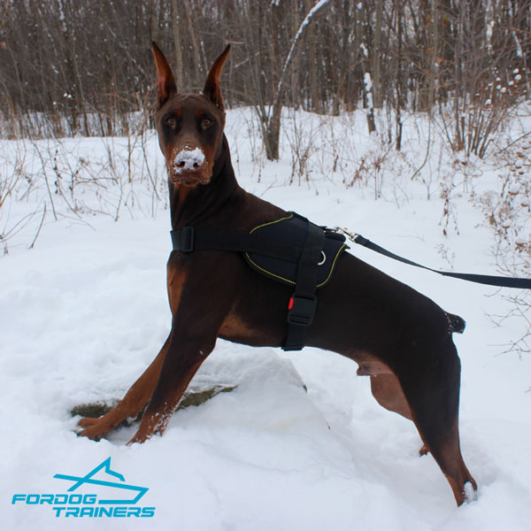 Any Weather Nylon Doberman Harness with Quick Release Buckle