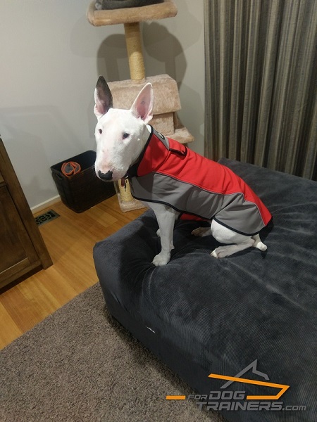 Nylon Dog Harness Insulating Heat for English Bullterrier