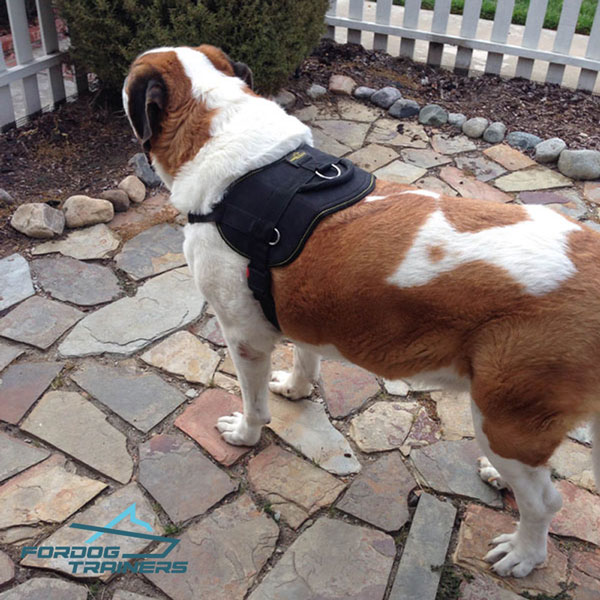 Lightweight Nylon Saint Bernard Harness with Comfy Handle