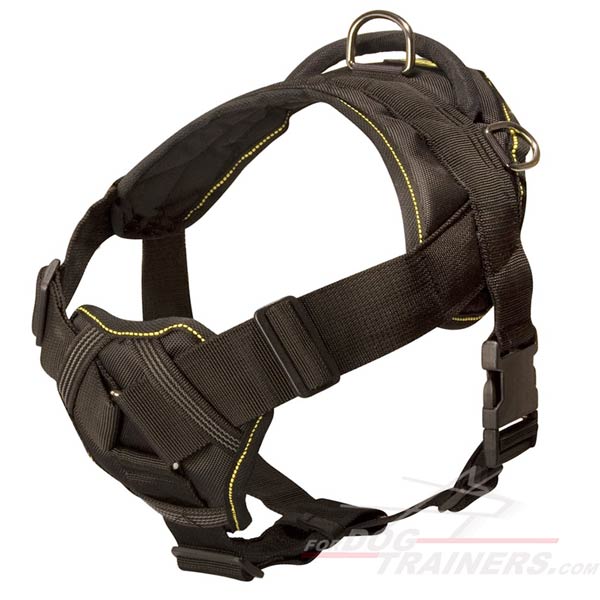 All-Weather Dog Harness Nylon Padded