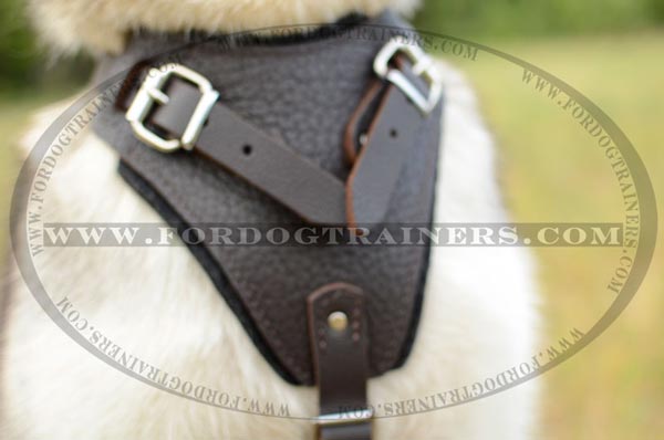 Wide Chest Plate of Leather Siberian Husky Harness