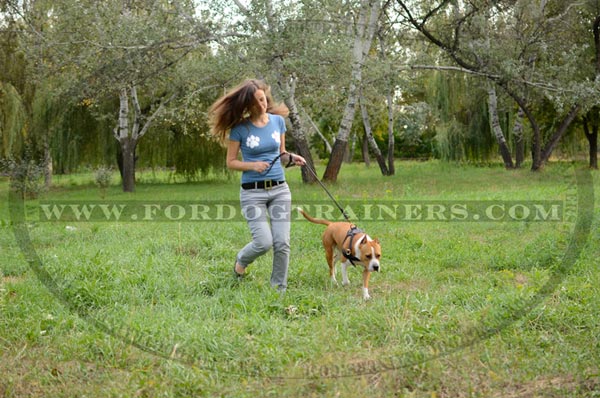 Staffordshire Terrier Harness Leather for Walking