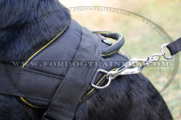 Nylon harness with comfy handle for extra comfort