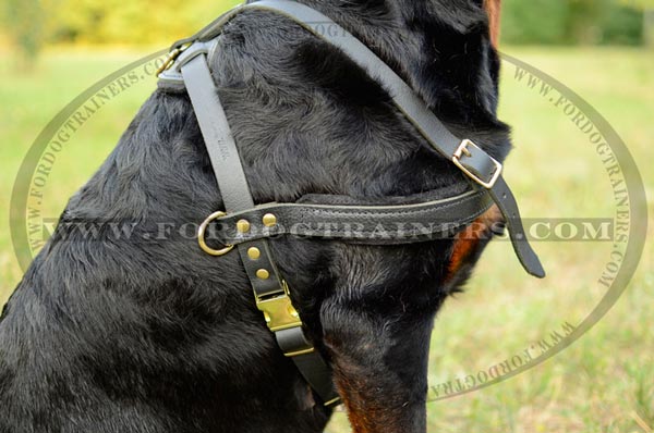 Leather tracking dog harness felt padded on straps