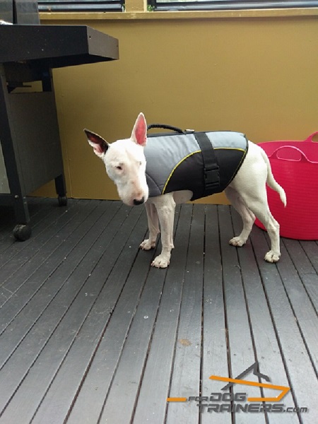 Super Comfortable Rehabilitation English Bullterrier Vest