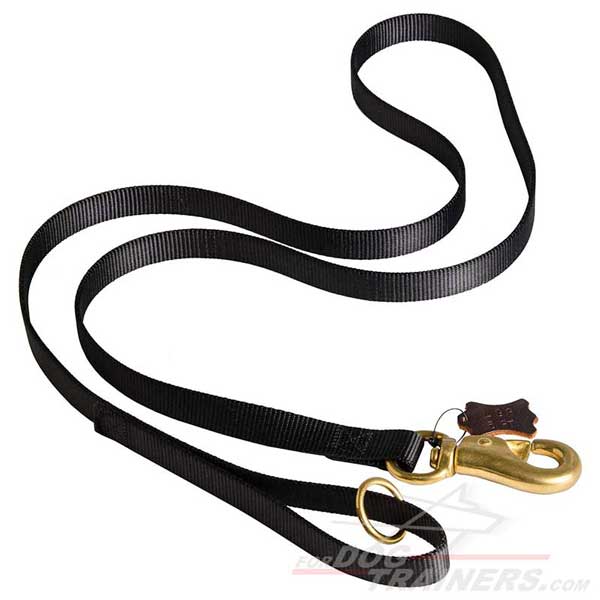 Walking Nylon Dog Leash