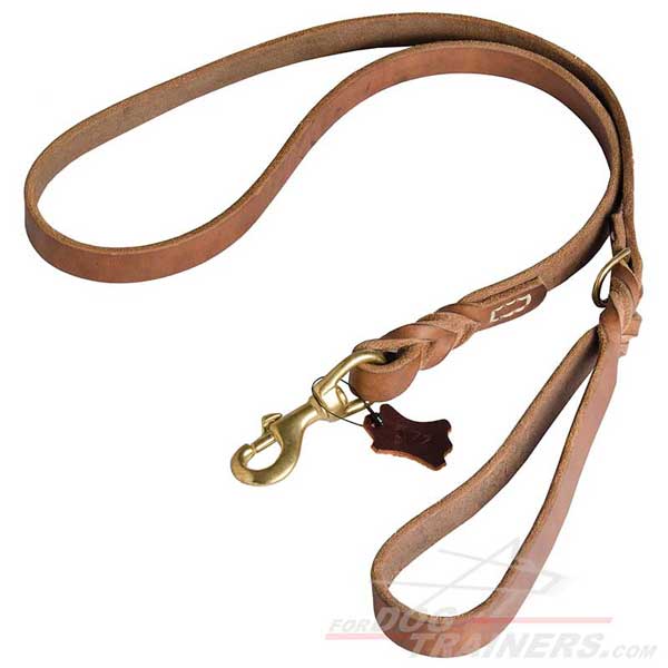 Smooth Waxed Leather Dog Leash