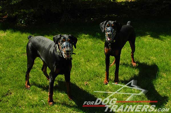 Adjustable Wire Basket Doberman Muzzle