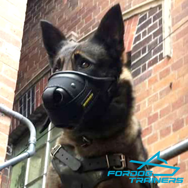  Leather&Nylon German Shepherd Muzzle for Police Training