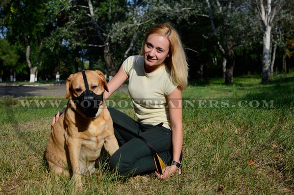 Labrador Dog Attack Training Leather Muzzle